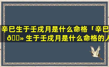 辛巳生于壬戌月是什么命格「辛巳 🌻 生于壬戌月是什么命格的人」